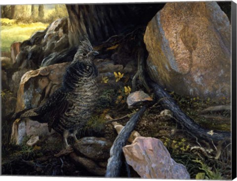 Framed Ruffed Grouse &amp; Trout Lilies Print