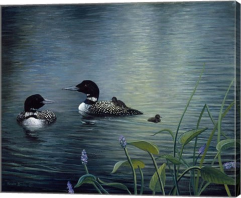 Framed Virginias Loons Print