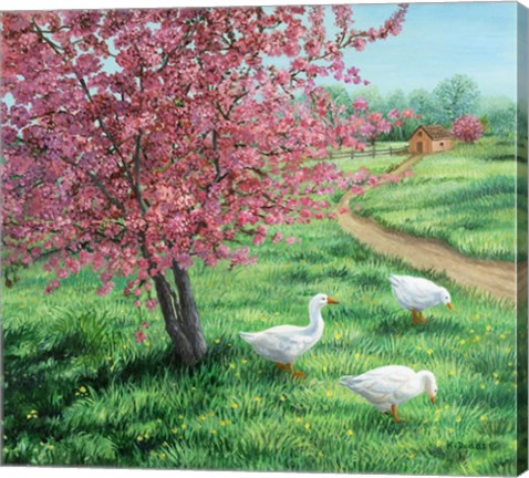 Framed Cherry Blossom Time Print