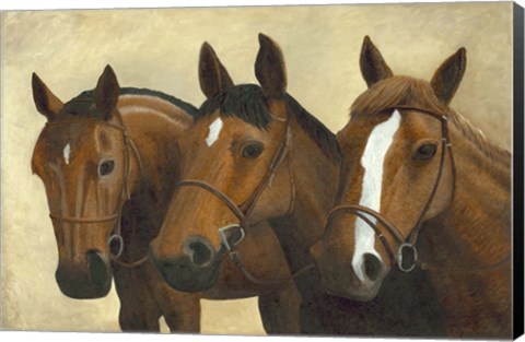 Framed 3 Horses Print