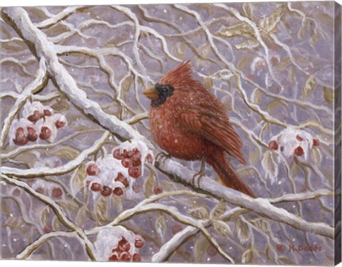 Framed Cardinal and Wild Berries Print