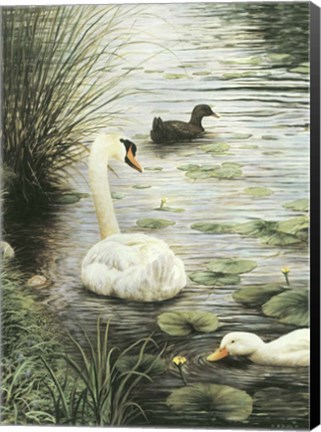 Framed In The Pond Print