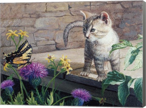 Framed Kitten &amp; Butterfly Print