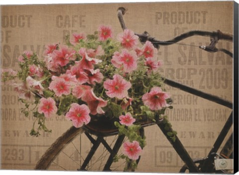 Framed Globe Cycle Print