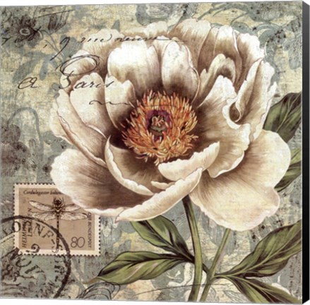 Framed French Postcard I Print