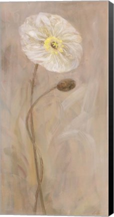 Framed Poppies I Print