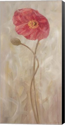 Framed Poppies IV Print