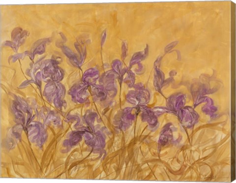 Framed Irises I Print