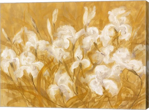 Framed Irises II Print