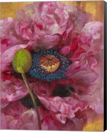 Framed Poppies II Print