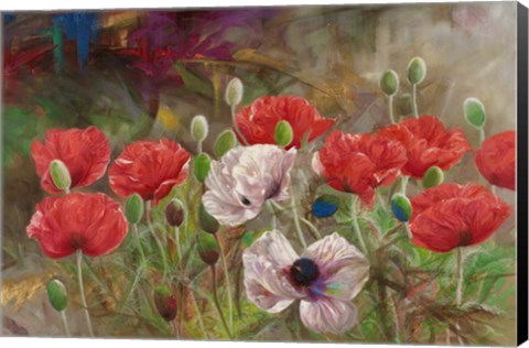 Framed Poppies III Print