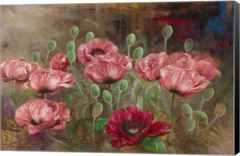Framed Poppies IV Print