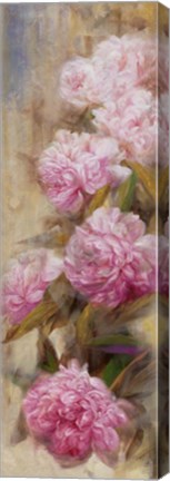 Framed Peonies II Print