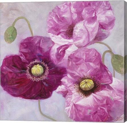 Framed Purple Poppies I Print