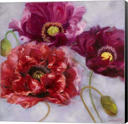 Framed Purple Poppies II Print