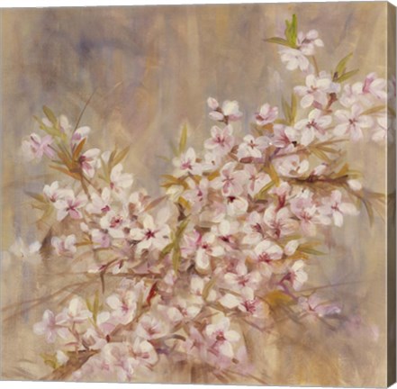 Framed Cherry Blossom I Print