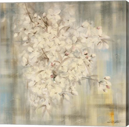 Framed White Cherry Blossom I Print