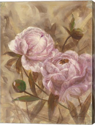 Framed Peony I Print