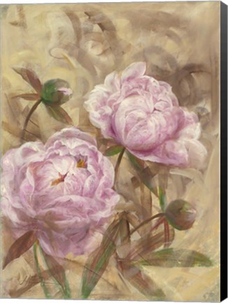 Framed Peony II Print