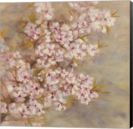 Framed Cherry Blossom II Print