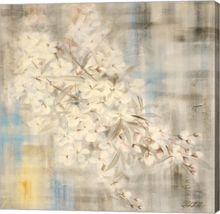 Framed White Cherry Blossom III Print