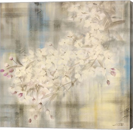 Framed White Cherry Blossom IV Print