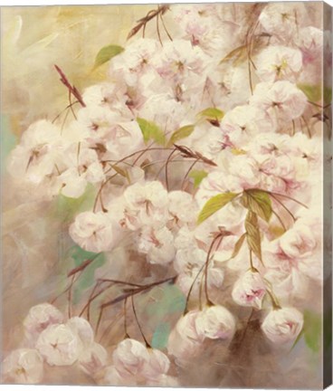 Framed Rose Bush II Print