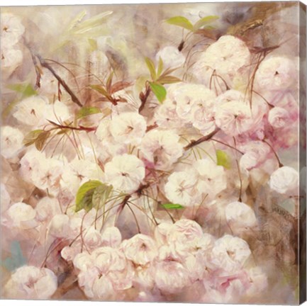 Framed Rose Bush III Print