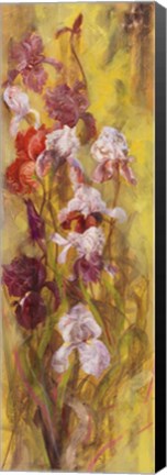 Framed Bearded Iris I Print