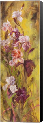 Framed Bearded Iris II Print