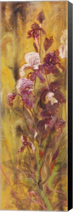 Framed Bearded Iris IV Print