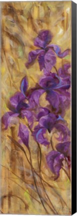 Framed Bearded Iris VII Print
