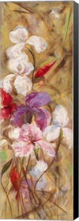 Framed Bearded Iris VIII Print