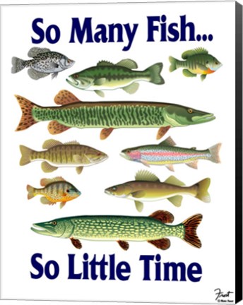 Framed So Many Fish So Little Time Print