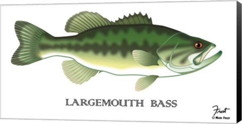 Framed Largemouth Bass Print