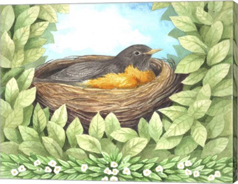 Framed Robin Print