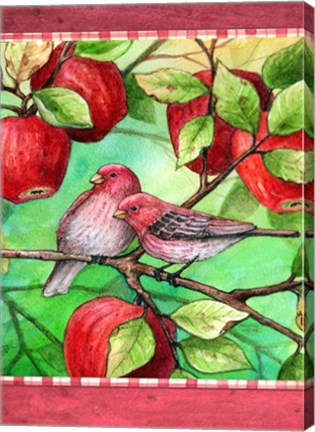Framed Red Finches With Apples Print