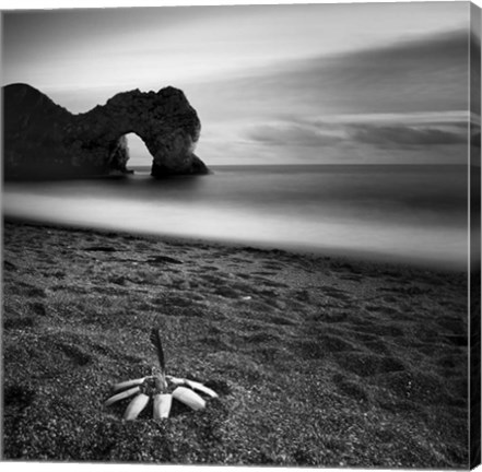 Framed Durdle Feather Print