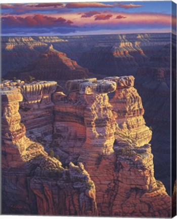 Framed Gold Of Arizona Print
