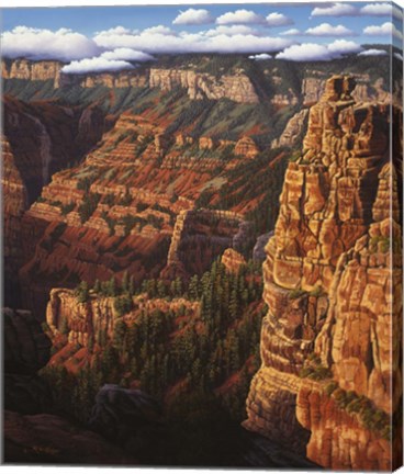 Framed World Of Wonders Print