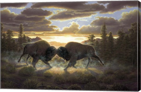 Framed Buffalo Print