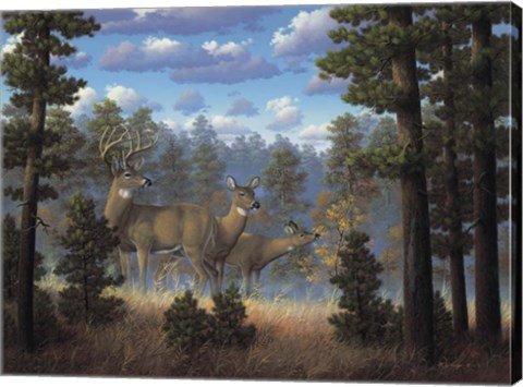 Framed White Tail Family Print