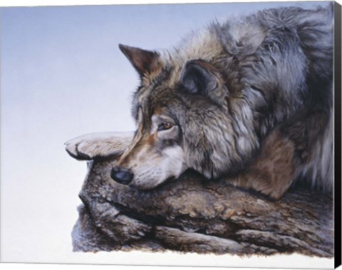 Framed On The Edge Print