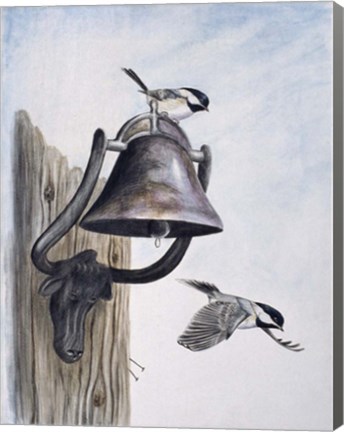 Framed Suet&#39;s On Print