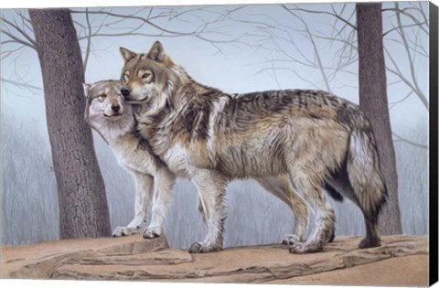Framed Two Wolves Print