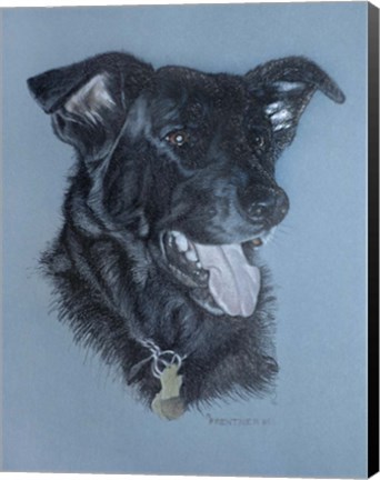 Framed Dog  Four Print