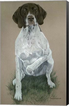 Framed Dog  Five Print