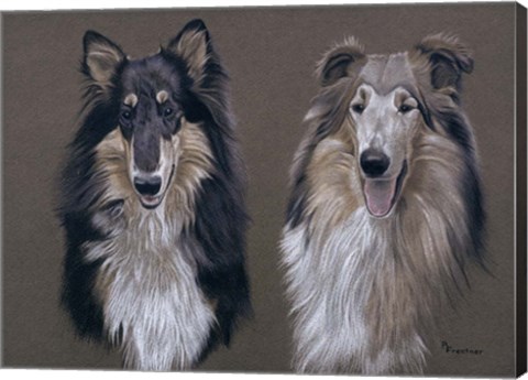 Framed Dog  Seven Print