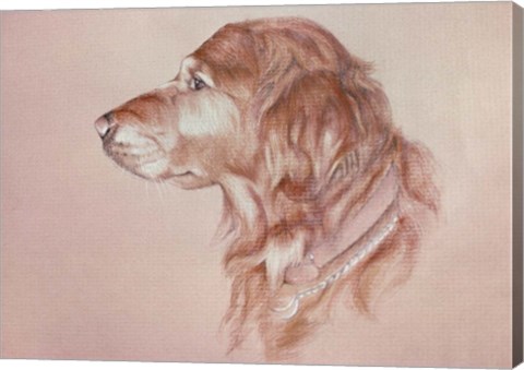 Framed Dog Eight Print