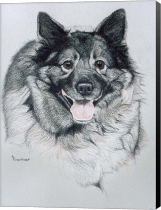 Framed Dog Ten Print